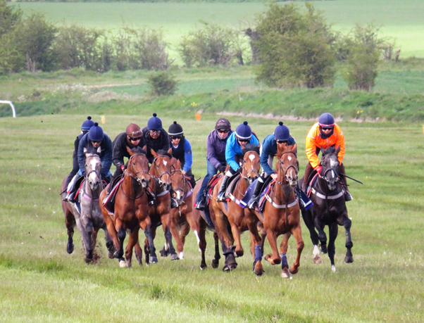 Eve Johnson Houghton Racing