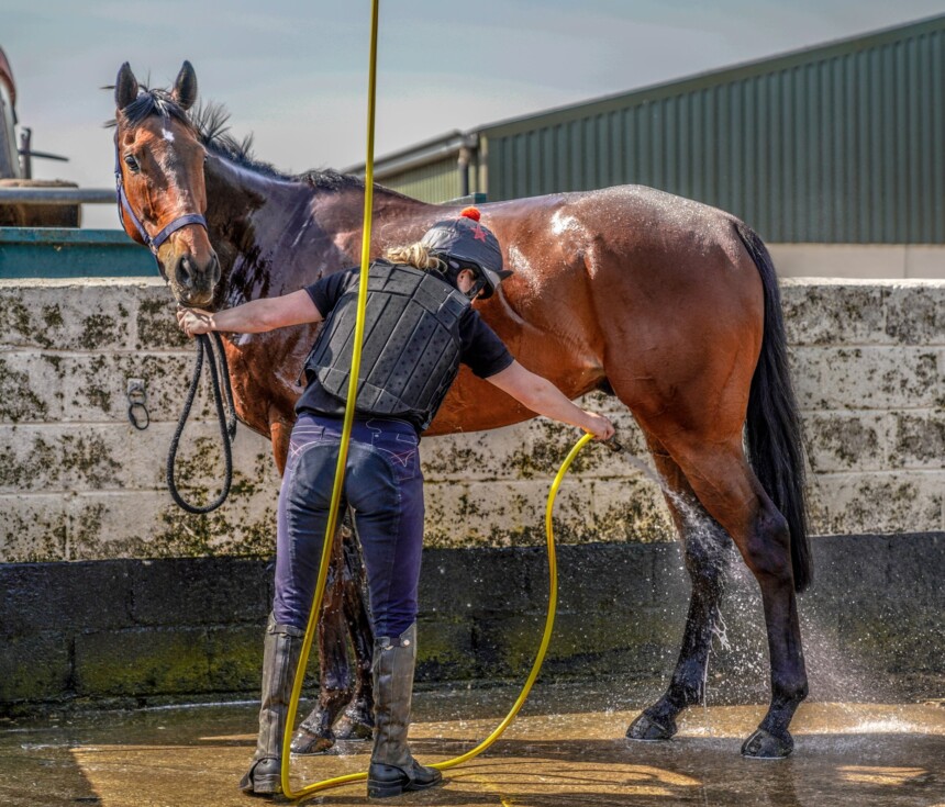 Richard Bandey National Racehorse Week richard-bandey-national-racehorse-week