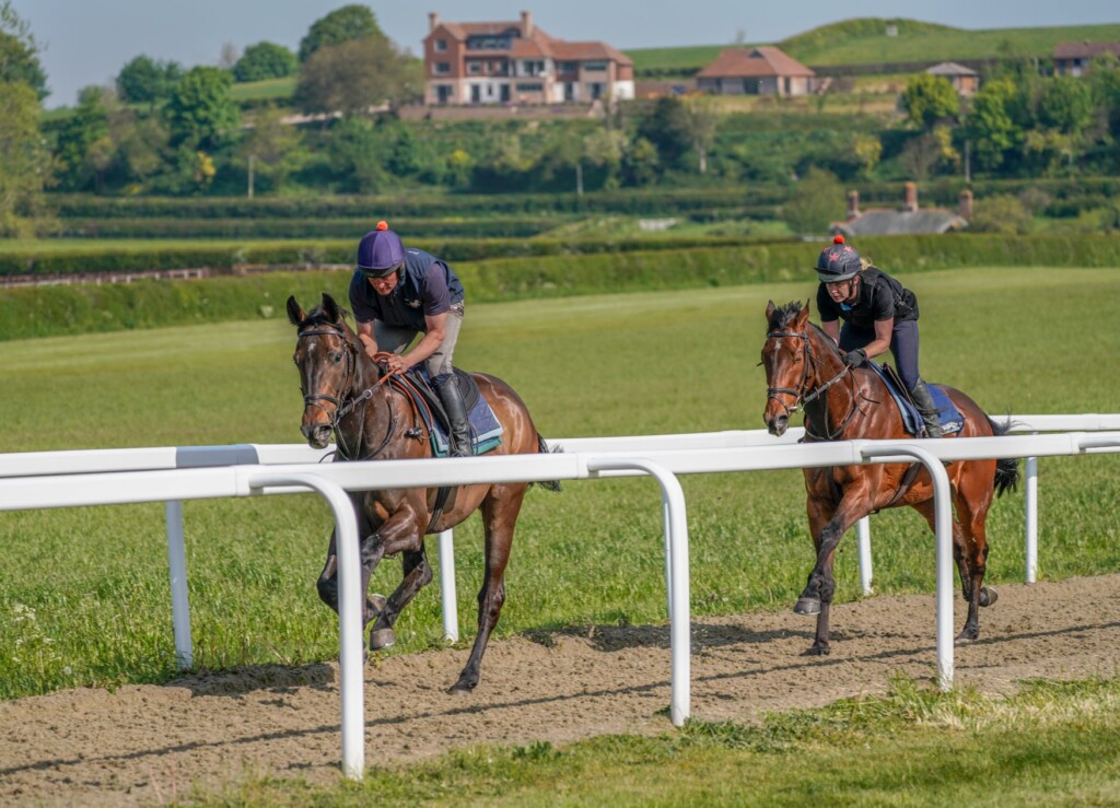 Richard Bandey National Racehorse Week richard-bandey-national-racehorse-week