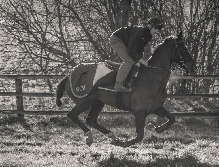 Steph Hollinshead