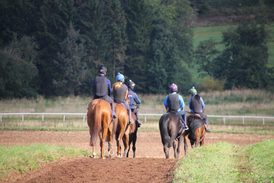 Mel Rowley National Racehorse Week